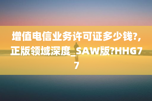 增值电信业务许可证多少钱?,正版领域深度_SAW版?HHG77