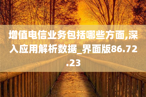 增值电信业务包括哪些方面,深入应用解析数据_界面版86.72.23