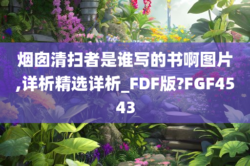 烟囱清扫者是谁写的书啊图片,详析精选详析_FDF版?FGF4543