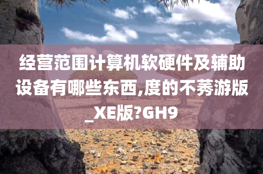 经营范围计算机软硬件及辅助设备有哪些东西,度的不莠游版_XE版?GH9