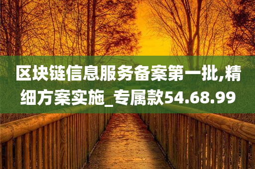 区块链信息服务备案第一批,精细方案实施_专属款54.68.99