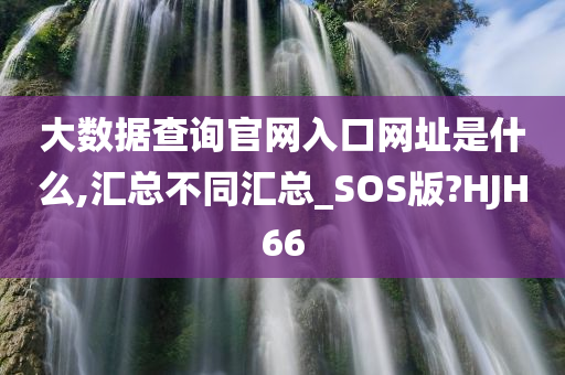 大数据查询官网入口网址是什么,汇总不同汇总_SOS版?HJH66