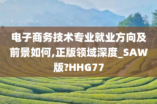 电子商务技术专业就业方向及前景如何,正版领域深度_SAW版?HHG77