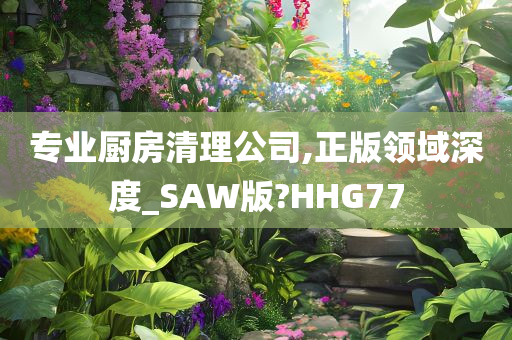 专业厨房清理公司,正版领域深度_SAW版?HHG77