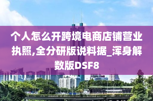 个人怎么开跨境电商店铺营业执照,全分研版说料据_浑身解数版DSF8