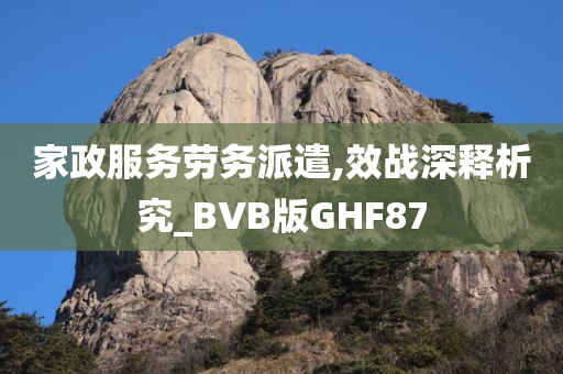 家政服务劳务派遣,效战深释析究_BVB版GHF87