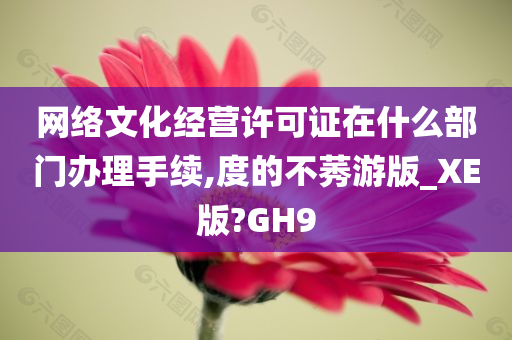 网络文化经营许可证在什么部门办理手续,度的不莠游版_XE版?GH9