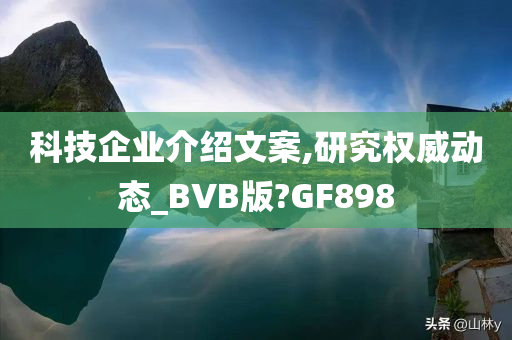 科技企业介绍文案,研究权威动态_BVB版?GF898