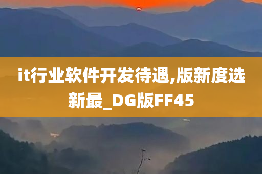 it行业软件开发待遇,版新度选新最_DG版FF45