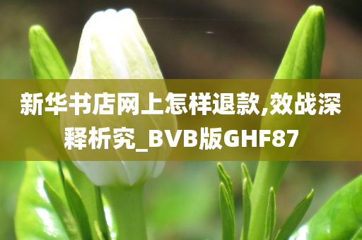 新华书店网上怎样退款,效战深释析究_BVB版GHF87