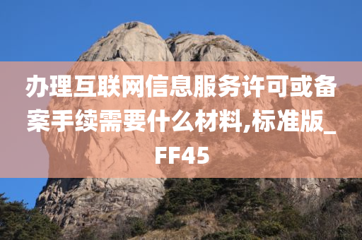 办理互联网信息服务许可或备案手续需要什么材料,标准版_FF45