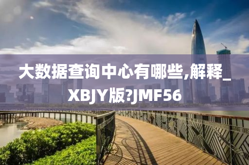 大数据查询中心有哪些,解释_XBJY版?JMF56