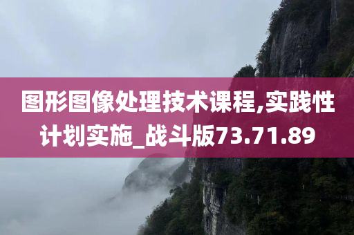 图形图像处理技术课程,实践性计划实施_战斗版73.71.89