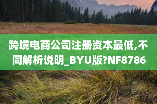 跨境电商公司注册资本最低,不同解析说明_BYU版?NF8786