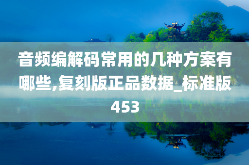 音频编解码常用的几种方案有哪些,复刻版正品数据_标准版453