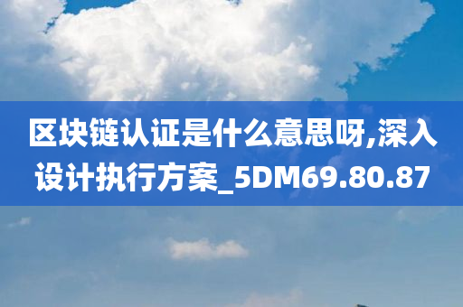 区块链认证是什么意思呀,深入设计执行方案_5DM69.80.87