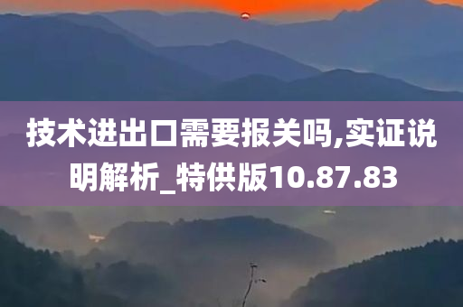 技术进出口需要报关吗,实证说明解析_特供版10.87.83