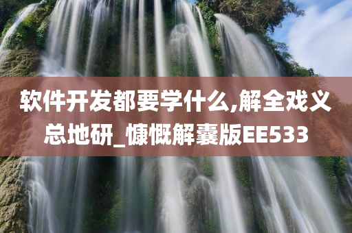 软件开发都要学什么,解全戏义总地研_慷慨解囊版EE533