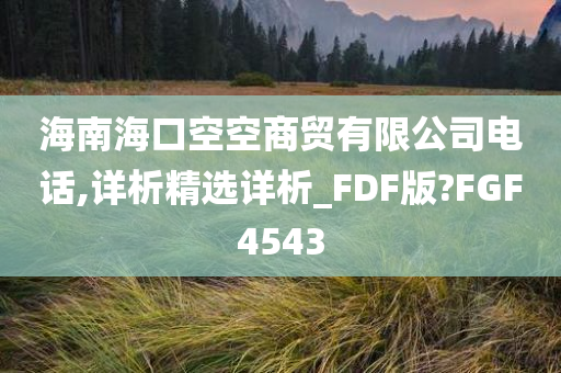 海南海口空空商贸有限公司电话,详析精选详析_FDF版?FGF4543