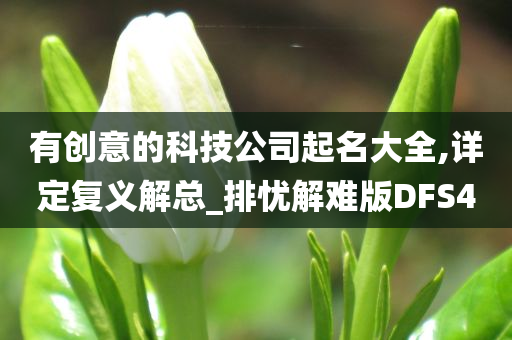 有创意的科技公司起名大全,详定复义解总_排忧解难版DFS4