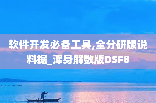 软件开发必备工具,全分研版说料据_浑身解数版DSF8