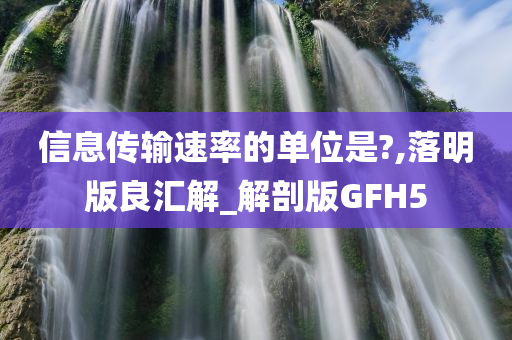 信息传输速率的单位是?,落明版良汇解_解剖版GFH5