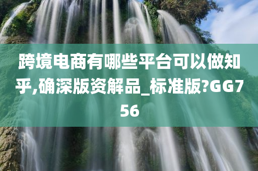 跨境电商有哪些平台可以做知乎,确深版资解品_标准版?GG756