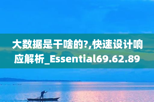 大数据是干啥的?,快速设计响应解析_Essential69.62.89