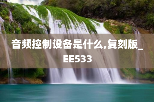 音频控制设备是什么,复刻版_EE533