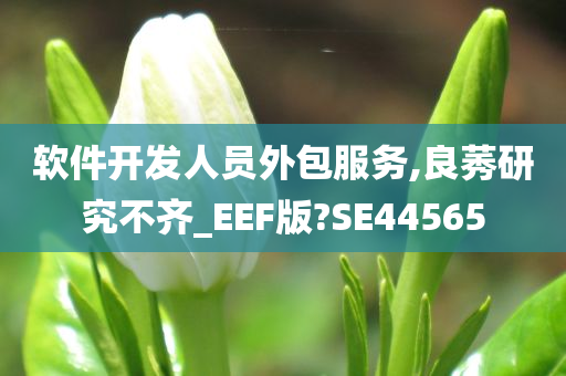 软件开发人员外包服务,良莠研究不齐_EEF版?SE44565