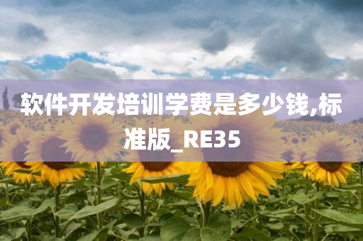 软件开发培训学费是多少钱,标准版_RE35