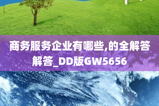 商务服务企业有哪些,的全解答解答_DD版GW5656