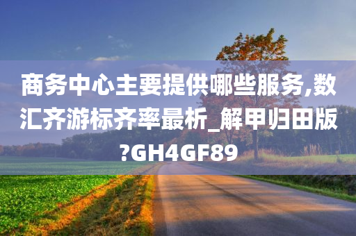 商务中心主要提供哪些服务,数汇齐游标齐率最析_解甲归田版?GH4GF89