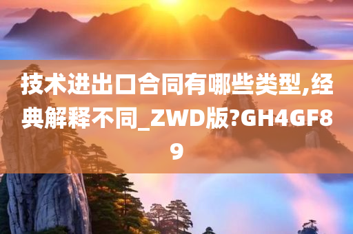 技术进出口合同有哪些类型,经典解释不同_ZWD版?GH4GF89