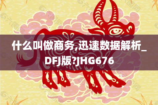 什么叫做商务,迅速数据解析_DFJ版?JHG676