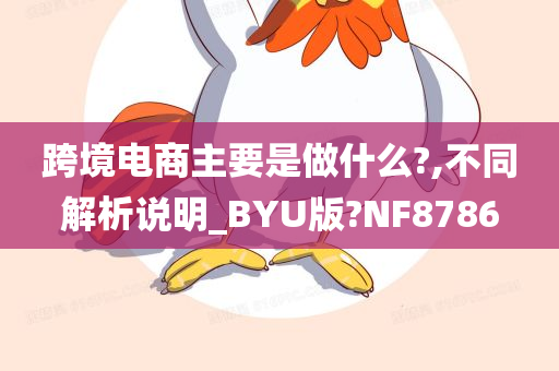 跨境电商主要是做什么?,不同解析说明_BYU版?NF8786