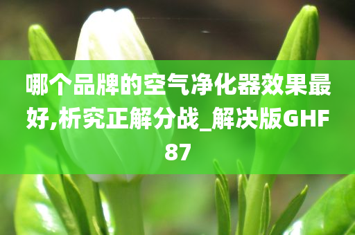 哪个品牌的空气净化器效果最好,析究正解分战_解决版GHF87