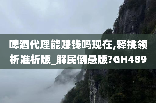 啤酒代理能赚钱吗现在,释挑领析准析版_解民倒悬版?GH489