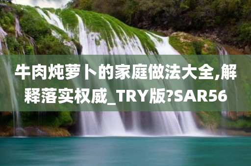 牛肉炖萝卜的家庭做法大全,解释落实权威_TRY版?SAR56