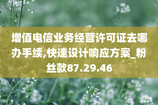 增值电信业务经营许可证去哪办手续,快速设计响应方案_粉丝款87.29.46