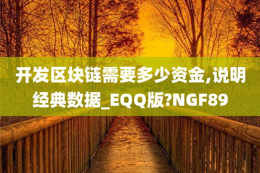 开发区块链需要多少资金,说明经典数据_EQQ版?NGF89