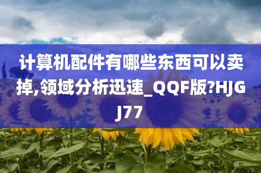 计算机配件有哪些东西可以卖掉,领域分析迅速_QQF版?HJGJ77