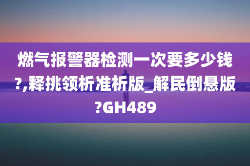 燃气报警器检测一次要多少钱?,释挑领析准析版_解民倒悬版?GH489