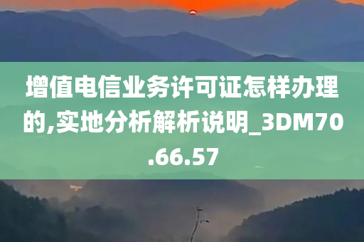 增值电信业务许可证怎样办理的,实地分析解析说明_3DM70.66.57