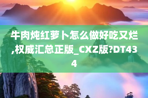 牛肉炖红萝卜怎么做好吃又烂,权威汇总正版_CXZ版?DT434