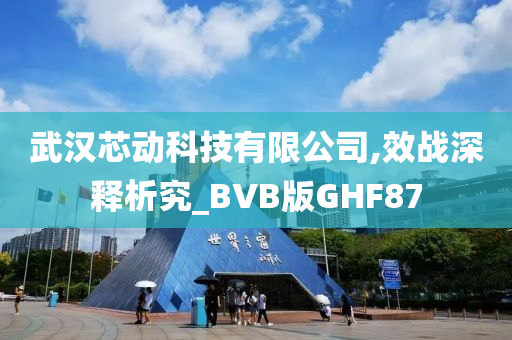 武汉芯动科技有限公司,效战深释析究_BVB版GHF87