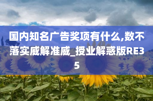 国内知名广告奖项有什么,数不落实威解准威_授业解惑版RE35