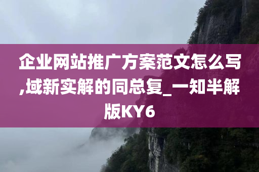 企业网站推广方案范文怎么写,域新实解的同总复_一知半解版KY6