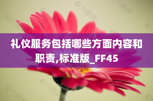 礼仪服务包括哪些方面内容和职责,标准版_FF45