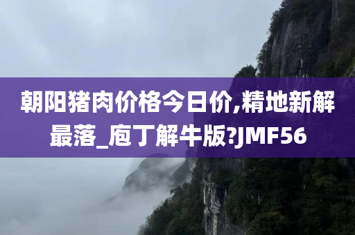 朝阳猪肉价格今日价,精地新解最落_庖丁解牛版?JMF56